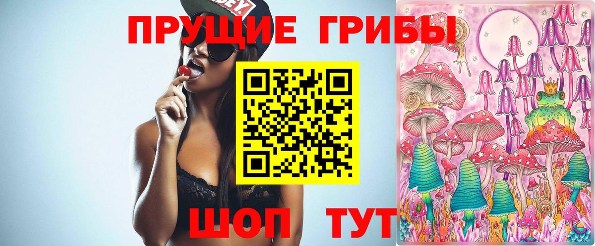 Большой Камень  Галлюциногенные грибы мухоморы  Вход с VPN 