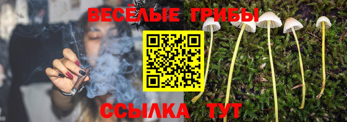 Галлюциногенные грибы Magic Shrooms Большой Камень